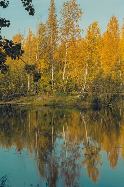 Orman gölü çimen, küçük yaprak döken orman ve sarı-kırmızı sonbahar renklerinde çalılarla kaplıydı.