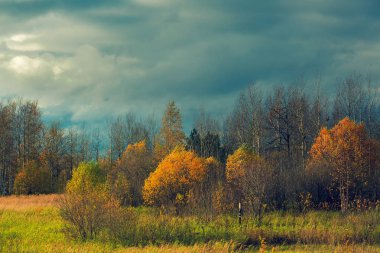 Sonbahar ormanın üzerinde gri yeşil thunderclouds toplamak