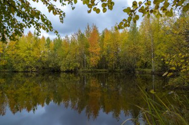 Eylül peyzaj sonbahar günü orman göle yakın