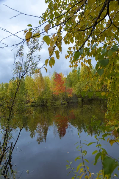 September landscape near the forest lake in the autumn day — Stock Photo, Image