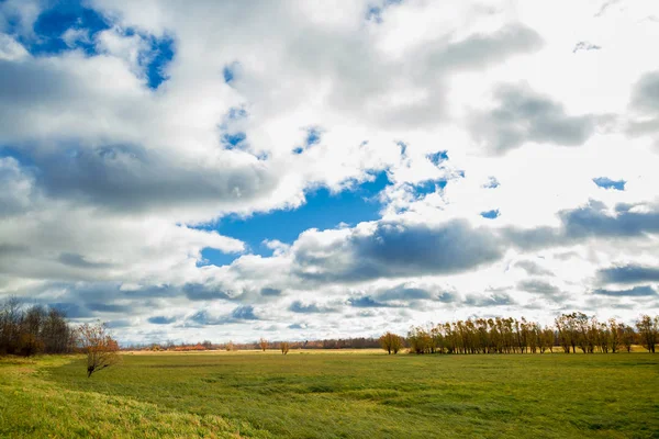 Grumlig över en oklippt fält i September — Stockfoto