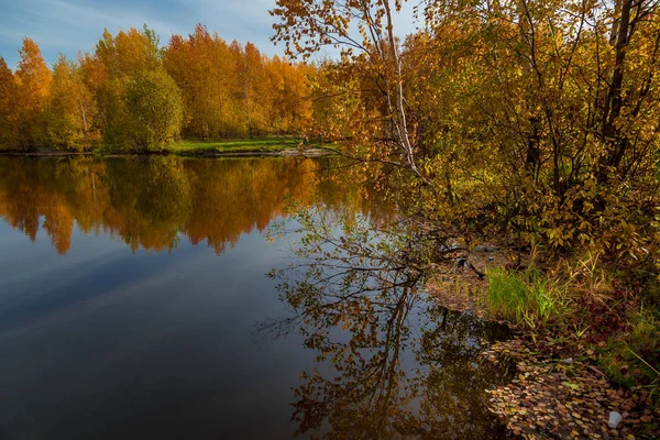 Paesaggio di settembre vicino al lago foresta nella giornata autunnale — Foto Stock