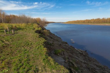 Bir dik banka çim ve nazik bir yaprak döken orman büyümüş Eylül ayında sonbahar Nehri