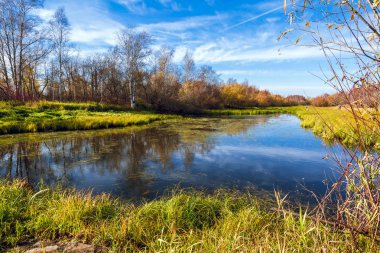 Bir orman nehir parke Eylül ayında fazla gelişmiş küçük orman bankalarla