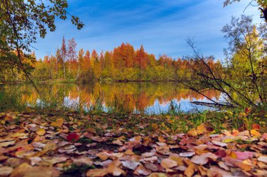 Orman gölü çimen, küçük yaprak döken orman ve sarı-kırmızı sonbahar renklerinde çalılarla kaplıydı.