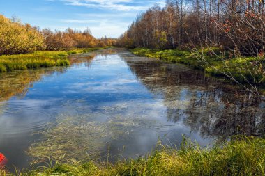 Orman Nehri kıyılarındaki ormanlık sert bir erken Eylül sonrası öğle üzerinde mavi gökyüzü karşı ile