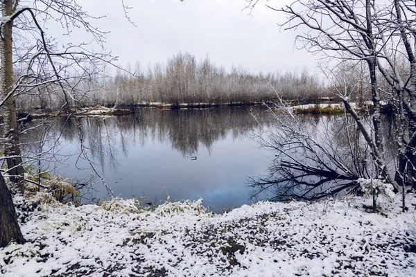 White Crystalline Snow Covered Branches Birch Trees Places Shore Forest — Stock Photo, Image