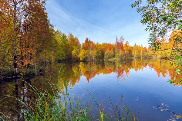 Autumn Deciduous Forest Bright Yellow Orange Colors Reflected Water Surface — Stock Photo, Image