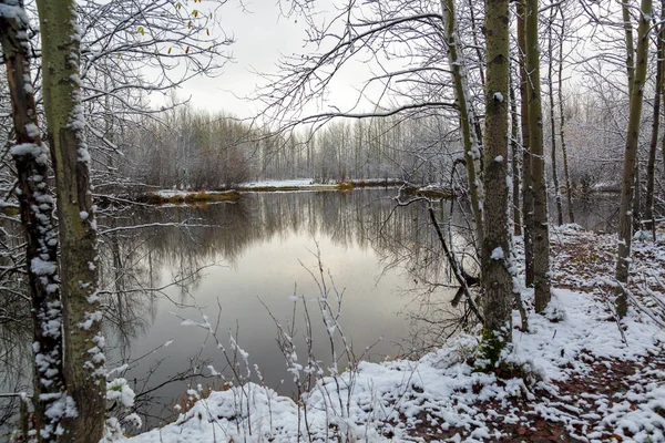 Árvores Que Deixam Cair Folhagem Cobriram Primeira Neve Fundo Lago — Fotografia de Stock