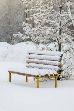 Tezgah ile orman arka planı beyaz kar çığ gibi