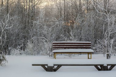 Ahşap banklar ile beyaz kabarık kar toz
