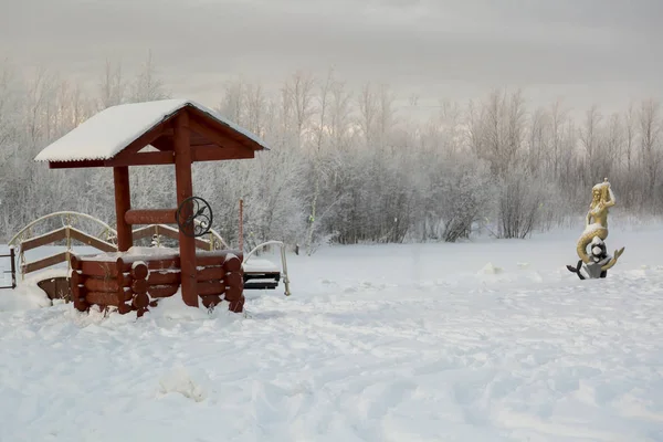 Pozzo Della Sirena Scultura Ricoperta Neve Dicembre — Foto Stock