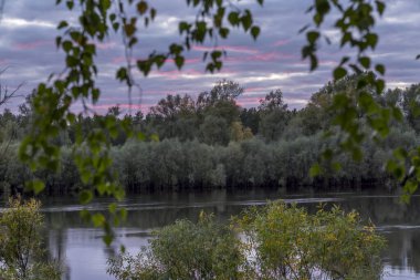 Nehrin üzerinde gün batımı yoğun çalılarla kaplandı.