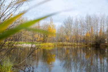 Orman gölü çimen, küçük yaprak döken orman ve sarı-kırmızı sonbahar renklerinde çalılarla kaplıydı.