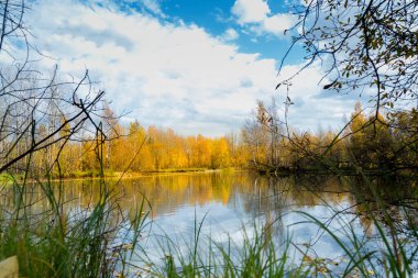 Orman gölü çimen, küçük yaprak döken orman ve sarı-kırmızı sonbahar renklerinde çalılarla kaplıydı.