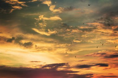 Renkli bulutlar ve kuşlar siluetleri ile canlı dramatik alacakaranlık günbatımı gökyüzü