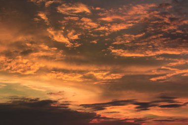 Renkli bulutlar ve kuşlar siluetleri ile canlı dramatik alacakaranlık günbatımı gökyüzü