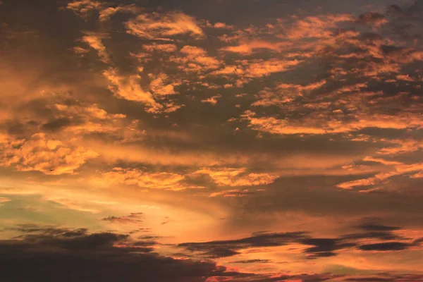 Renkli bulutlar ve kuşlar siluetleri ile canlı dramatik alacakaranlık günbatımı gökyüzü