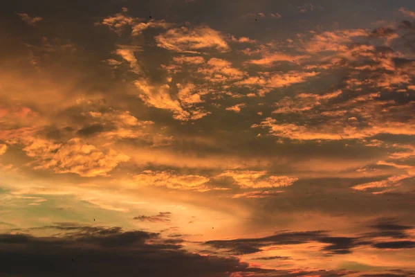 Renkli bulutlar ve kuşlar siluetleri ile canlı dramatik alacakaranlık günbatımı gökyüzü