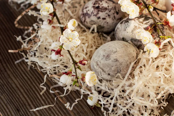 Yuvada Paschal renkli yumurta. Paskalya dekorasyonu