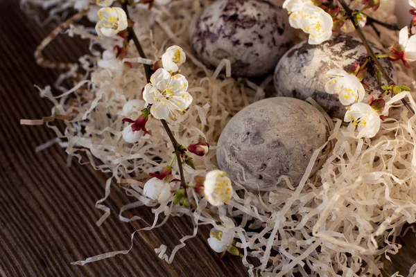 Yuvada Paschal renkli yumurta. Paskalya dekorasyonu