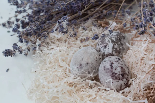 Paschal colored eggs in the nest — Stock Photo, Image