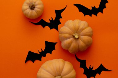 Turuncu masada balkabakları. Cadılar Bayramı geçmişi