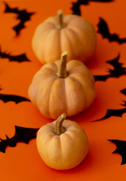 Turuncu masada balkabakları. Cadılar Bayramı geçmişi