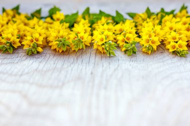 Ahşap rustik arka plan woth sarı çiçekler üstünde o. Seçici odak.