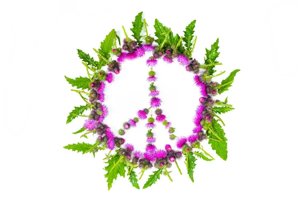 Peace Sign Pacific Symbol Peace Disarmament War Movement Lined Leaves — Stock Photo, Image