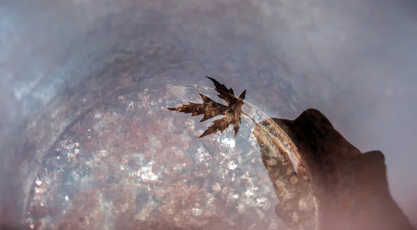 Cubo Lleno Agua Refleja Una Mano Sosteniendo Una Hermosa Hoja —  Fotos de Stock