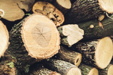 Kış için hasat yakacak odun Close-up.