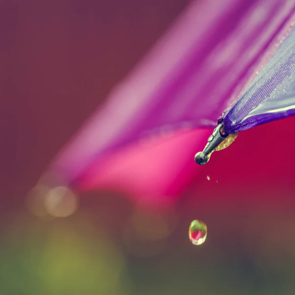 Drops Water Run Umbrella Close — Stock Photo, Image