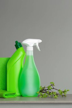 Yeşil bahar temizliği ve Genç bahar yaprakları ile bir kaç dal için ayarlayın. Kopya alanı, nötr arka plan.