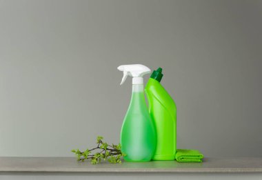 Yeşil bahar temizliği ve Genç bahar yaprakları ile bir kaç dal için ayarlayın. Kopya alanı, nötr arka plan.