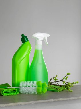 Yeşil bahar temizliği ve Genç bahar yaprakları ile bir kaç dal için ayarlayın. Kopya alanı, nötr arka plan.