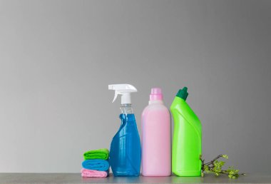 Renkli bahar temizliği ve Genç bahar yaprakları ile bir kaç dal için ayarlayın. Nötr arka plan; metin için yer.