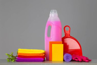 Renkli ev ve twigs tarafsız zemin üzerine yeşil yaprakları ile temizlik için araçlar kümesi. Bahar temizliği kavramı. Kopya alanı.