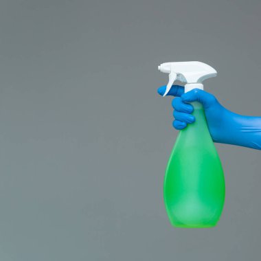 Bir elinde bir lastik eldiven cam nötr bir arka plan üzerine püskürtülen ilaç şişe temiz tutar. Parlak bahar, bahar temizliği kavramı.