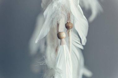 Plumage and beads of a Native American Dreamcatcher. Close up. Selective focus. clipart