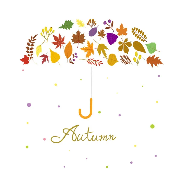 Écriture Main Autumn Text Boder Bannière Parapluie Premium Sur Fond — Image vectorielle