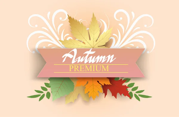 Écriture Main Autumn Text Boder Bannière Premium Sur Ruban Rose — Image vectorielle