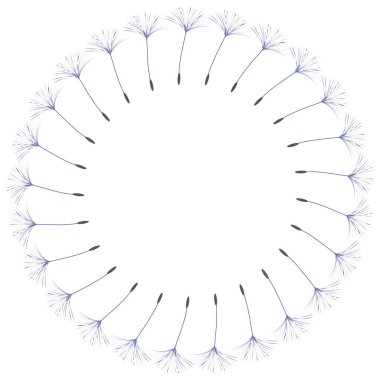 Abstract frame of a dandelion for design. clipart