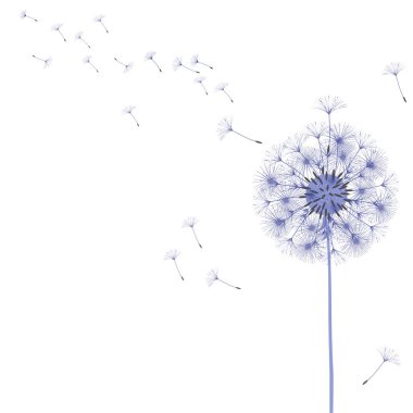 Bir karahindiba tasarımı için arka plan.