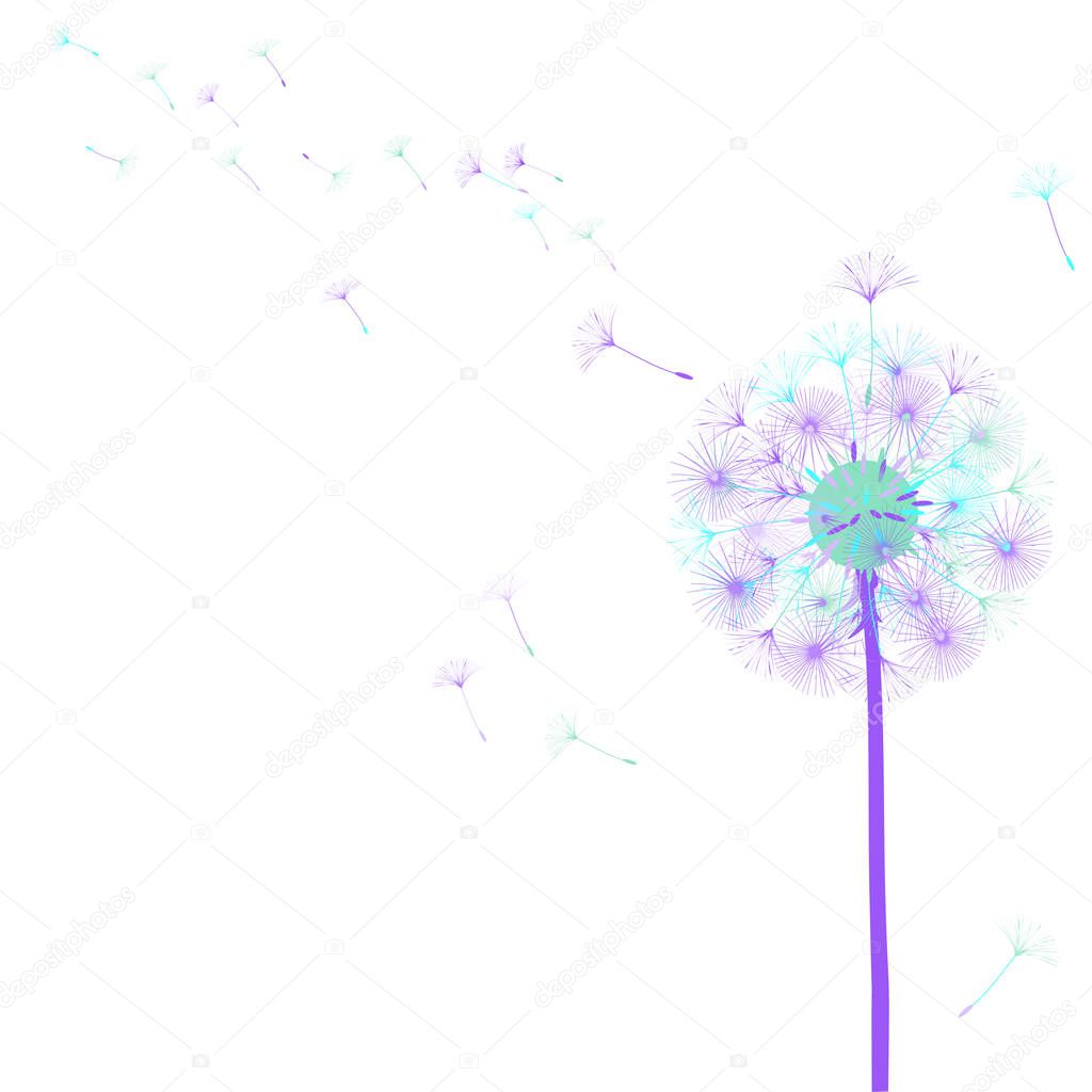 Abstract background of a dandelion for design.