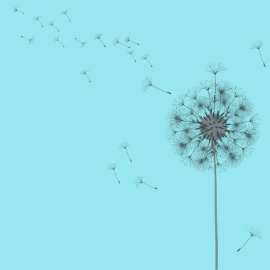 Bir karahindiba tasarımı için arka plan.