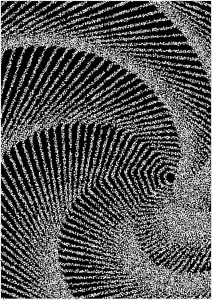 Líneas curvas de arena plateada sobre fondo negro — Archivo Imágenes Vectoriales