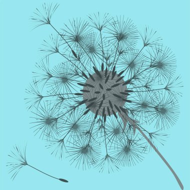 Bir karahindiba tasarımı için arka plan.