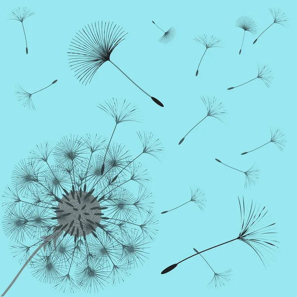 Bir karahindiba tasarımı için arka plan.