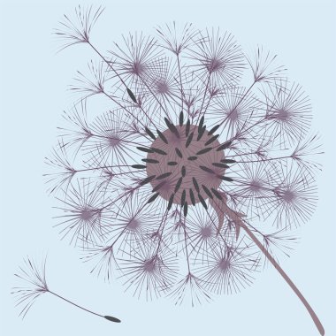 Bir karahindiba tasarımı için arka plan.